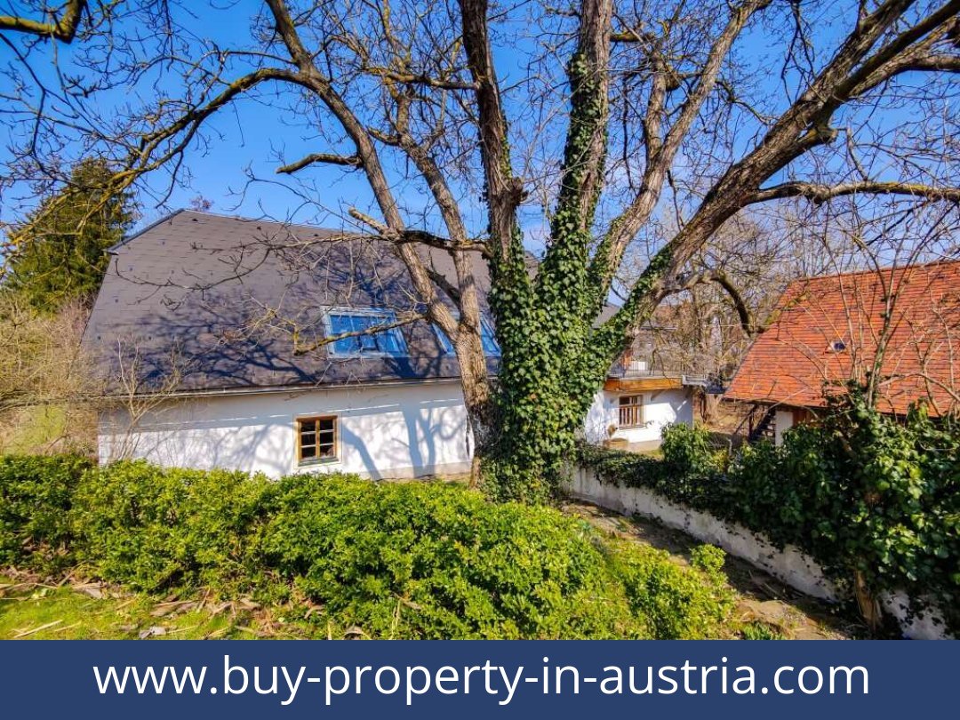 buy-property-in-austria-kirchberg an der wild-3811-20250916214810-0025901043.jpg